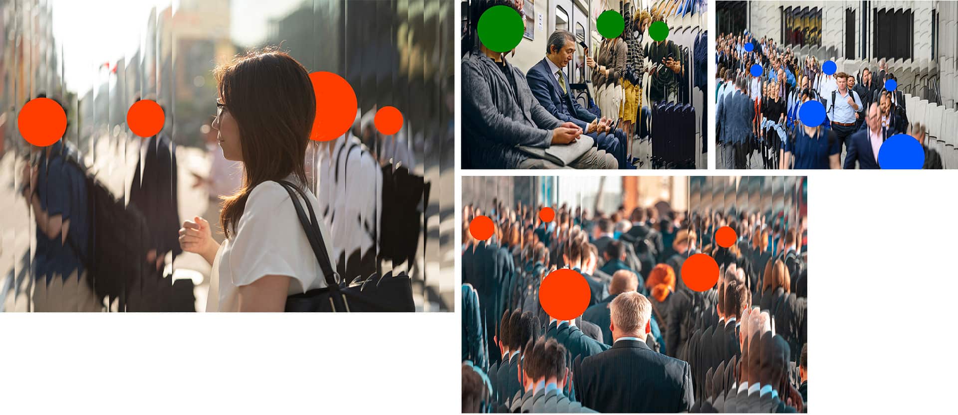 Windfall Trust replacement photography